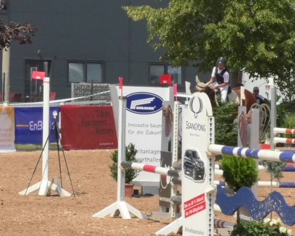 Horse Summer Meeting Jagstzell 2018