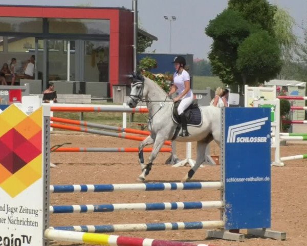 Horse Summer Meeting Jagstzell 2018