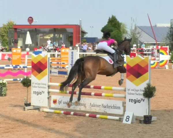 Horse Summer Meeting Jagstzell 2018