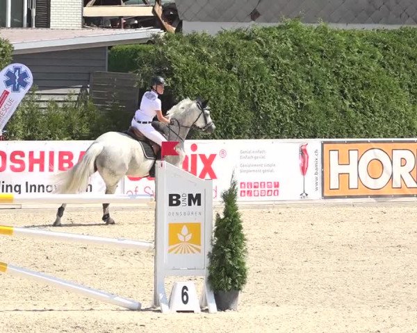 Pferdesporttage Galgenen 2018