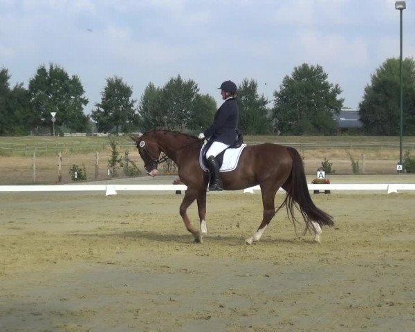Reitturnier Neuss-Uedesheim 2018