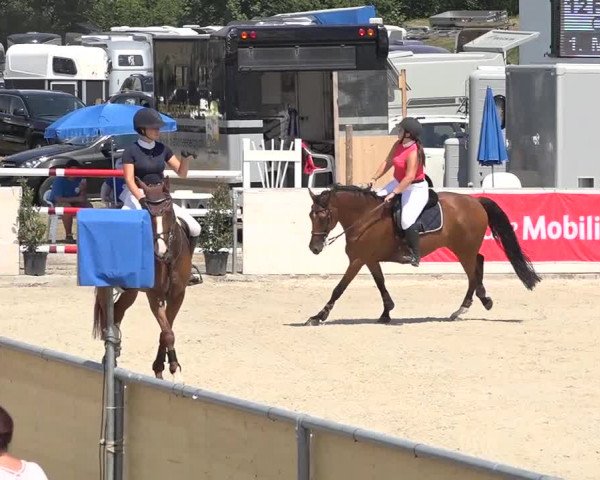 Pferdesporttage Galgenen 2018