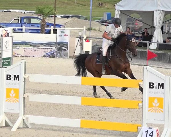 Pferdesporttage Galgenen 2018