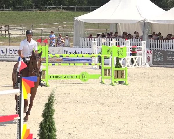 Pferdesporttage Galgenen 2018