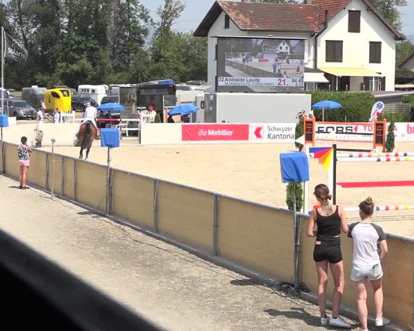 Pferdesporttage Galgenen 2018