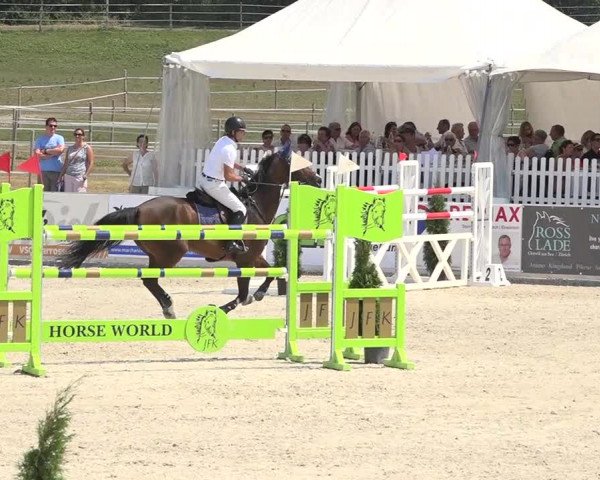 Pferdesporttage Galgenen 2018