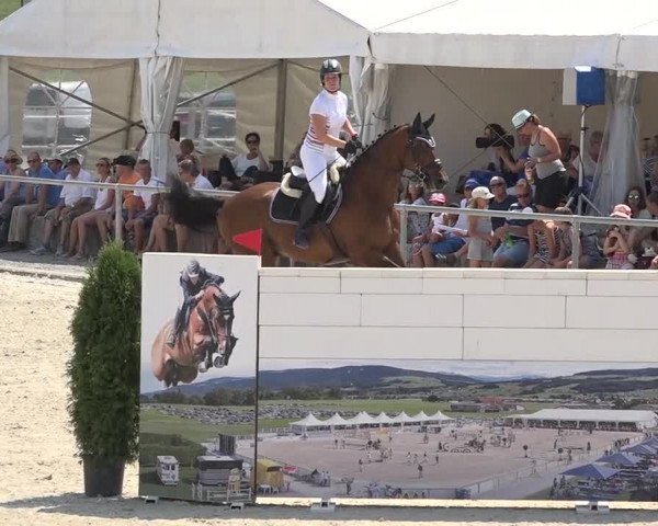 Pferdesporttage Galgenen 2018