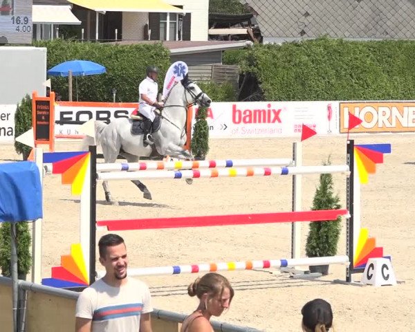 Pferdesporttage Galgenen 2018