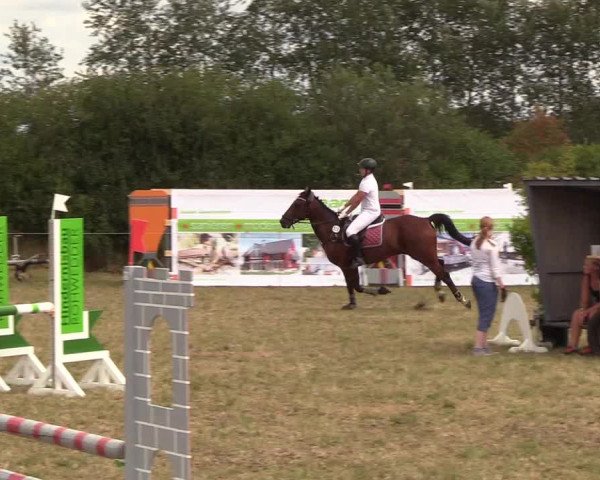 Reitturnier Sollerup 2018