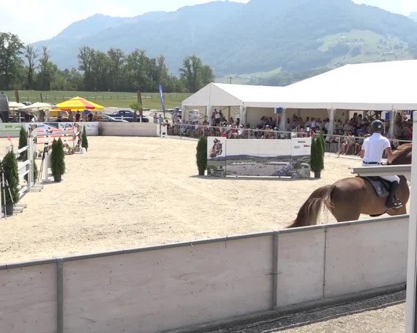Pferdesporttage Galgenen 2018