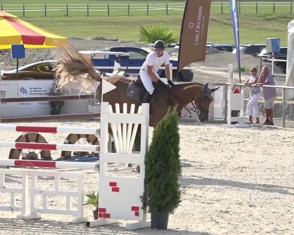 Pferdesporttage Galgenen 2018