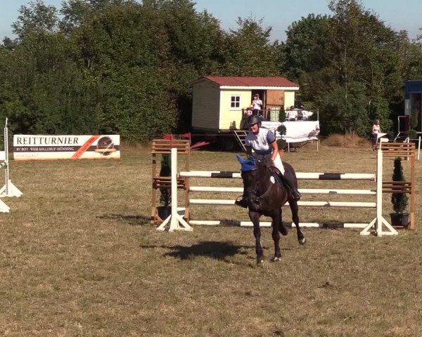 Reitturnier Sollerup 2018