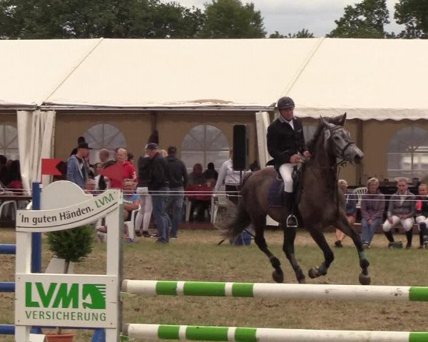 Reitturnier Sollerup 2018