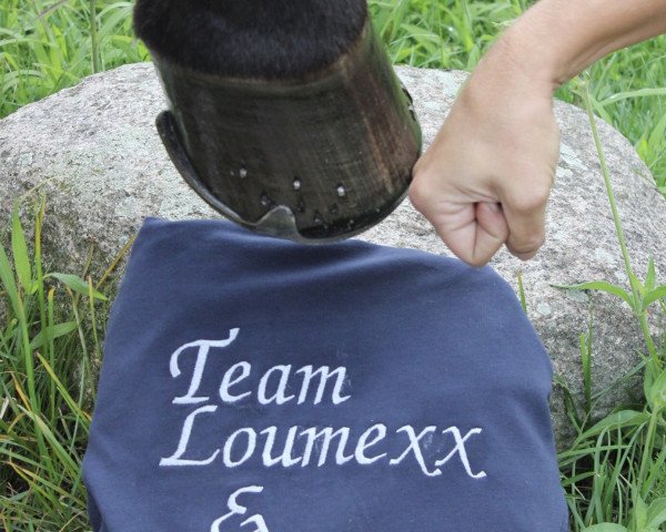 dressage horse Loumexx (Oldenburg, 2008, from Laureano)