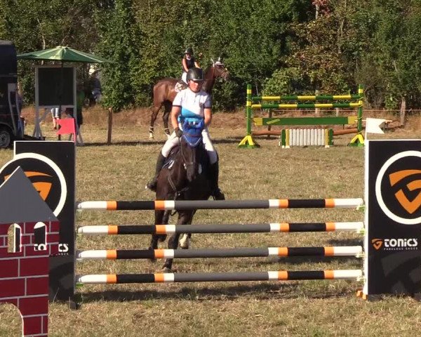 Reitturnier Sollerup 2018