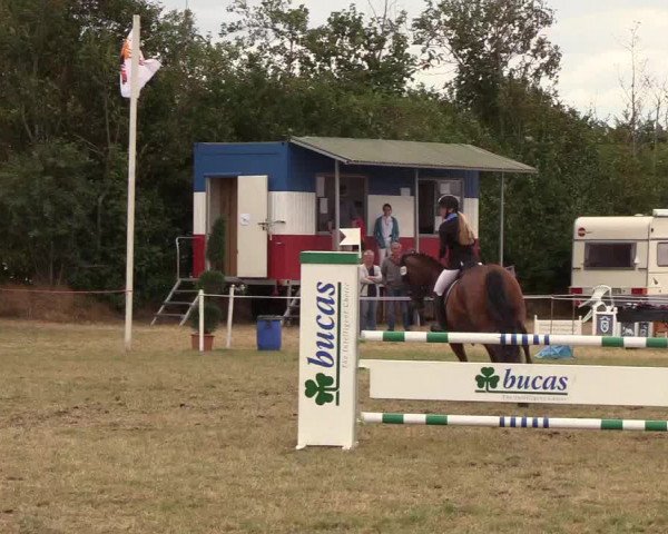 Reitturnier Sollerup 2018