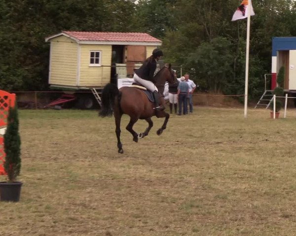 Reitturnier Sollerup 2018