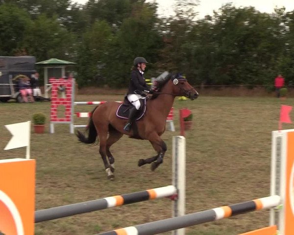 Reitturnier Sollerup 2018