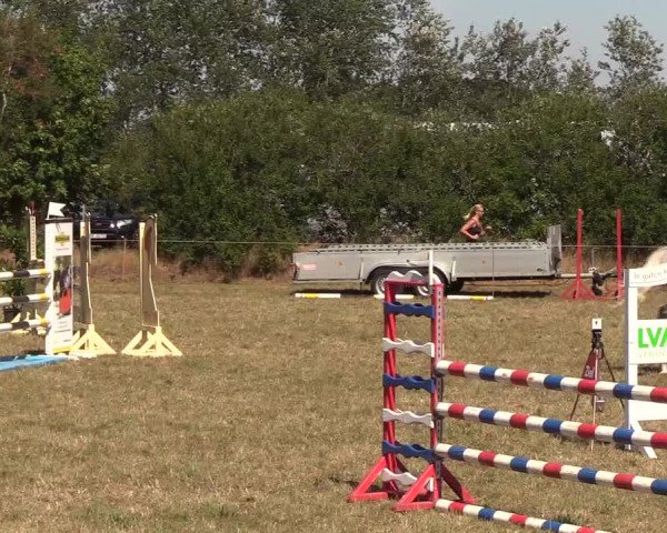 Reitturnier Sollerup 2018