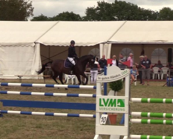 Reitturnier Sollerup 2018