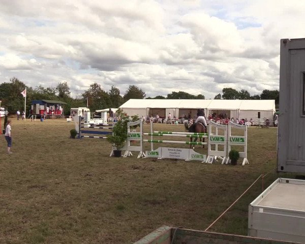Reitturnier Sollerup 2018