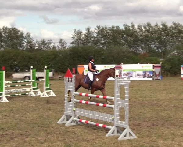 Reitturnier Sollerup 2018