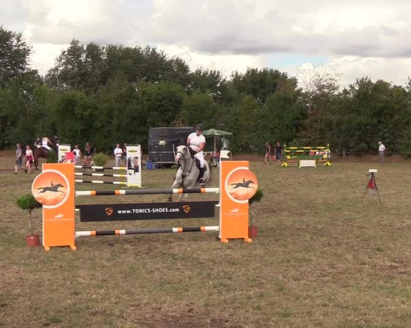 Reitturnier Sollerup 2018