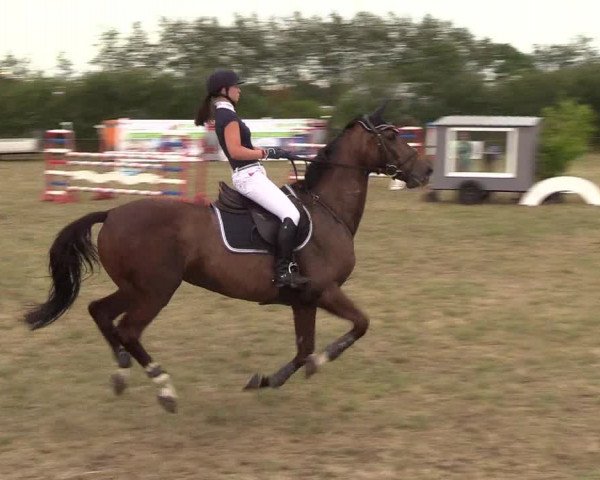Reitturnier Sollerup 2018