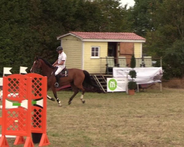 Reitturnier Sollerup 2018
