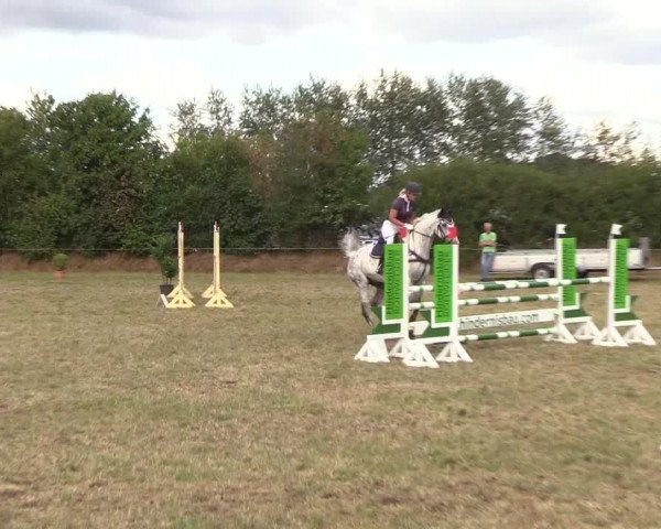Reitturnier Sollerup 2018