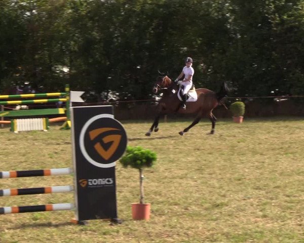 Reitturnier Sollerup 2018