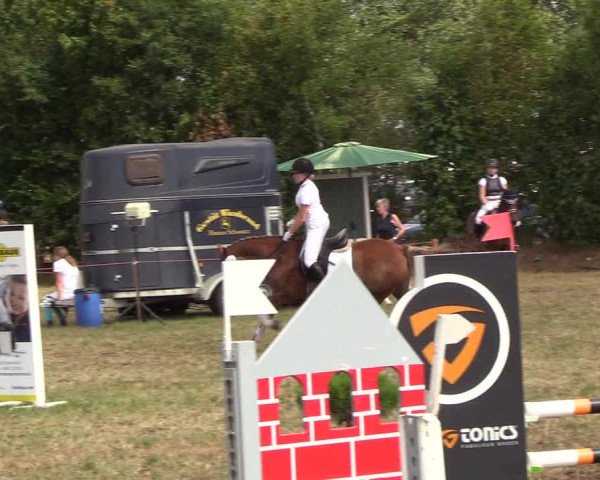 Reitturnier Sollerup 2018