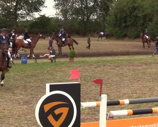 Reitturnier Sollerup 2018