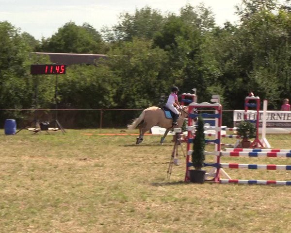 Reitturnier Sollerup 2018