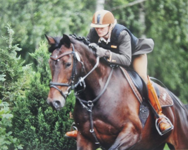 Springpferd Roxanna 30 (Westfale, 2006, von Riccio)