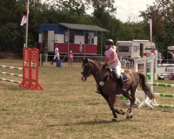 Reitturnier Sollerup 2018