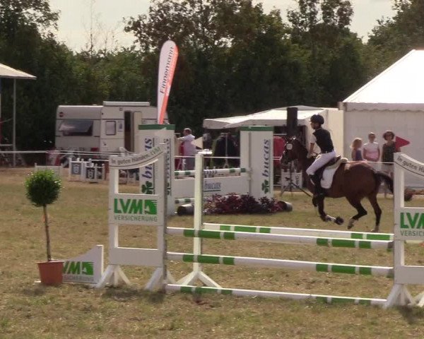 Reitturnier Sollerup 2018