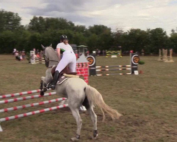 Reitturnier Sollerup 2018