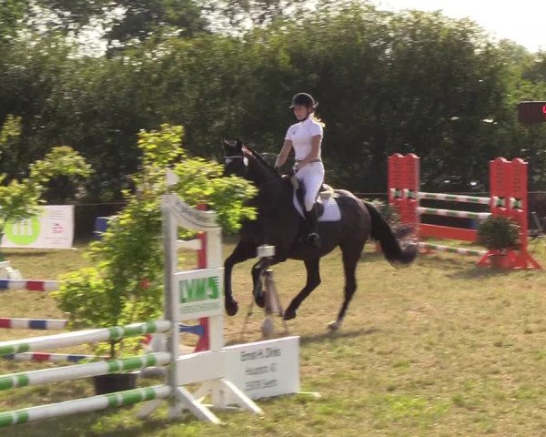 Reitturnier Sollerup 2018