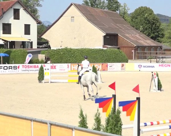 Pferdesporttage Galgenen 2018