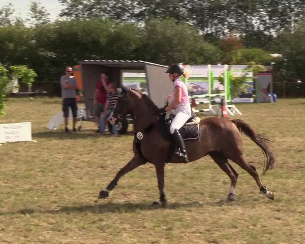 Reitturnier Sollerup 2018