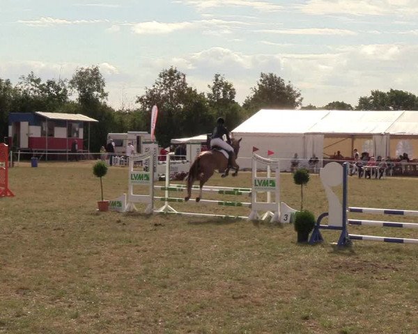 Reitturnier Sollerup 2018