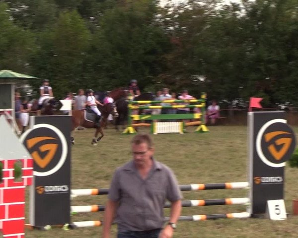 Reitturnier Sollerup 2018