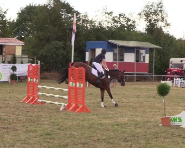 Reitturnier Sollerup 2018