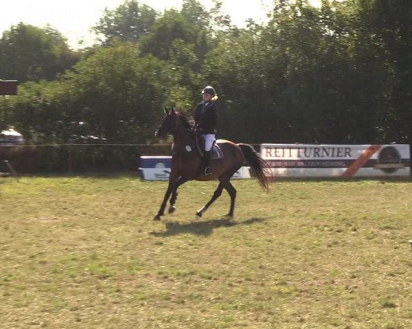 Reitturnier Sollerup 2018