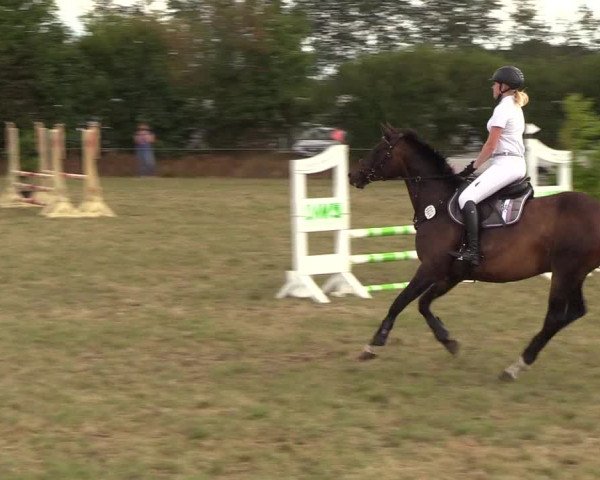 Reitturnier Sollerup 2018