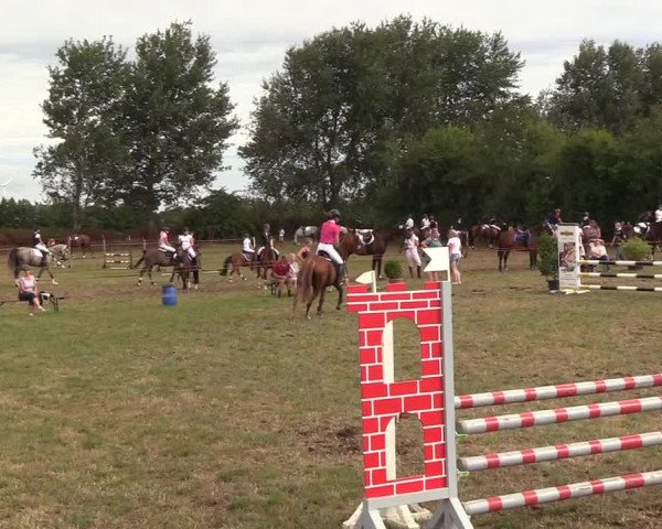 Reitturnier Sollerup 2018