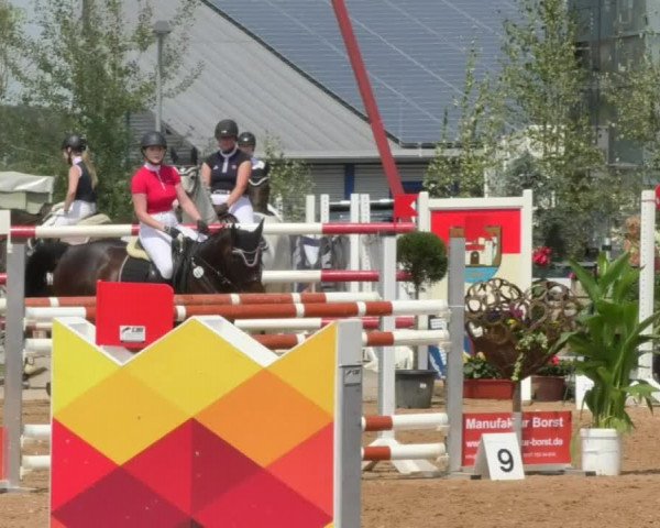 Horse Summer Meeting Jagstzell 2018