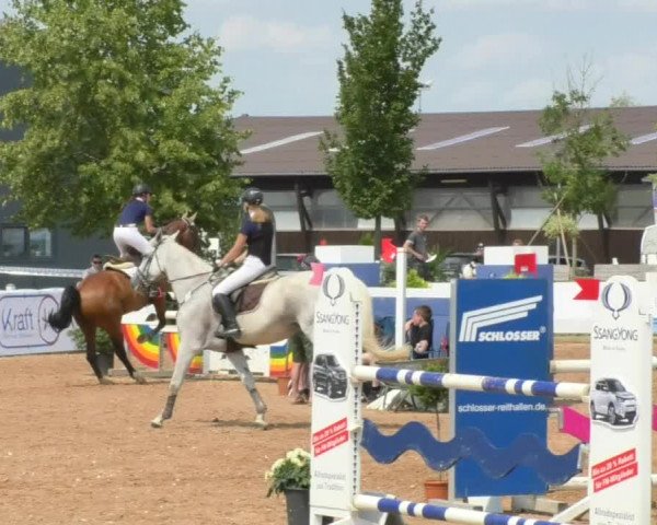 Horse Summer Meeting Jagstzell 2018