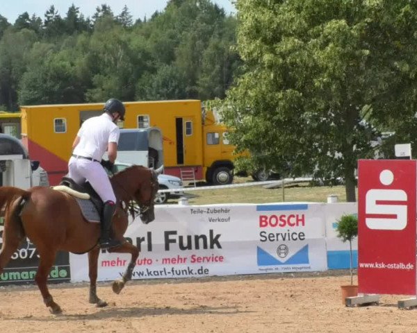 Horse Summer Meeting Jagstzell 2018